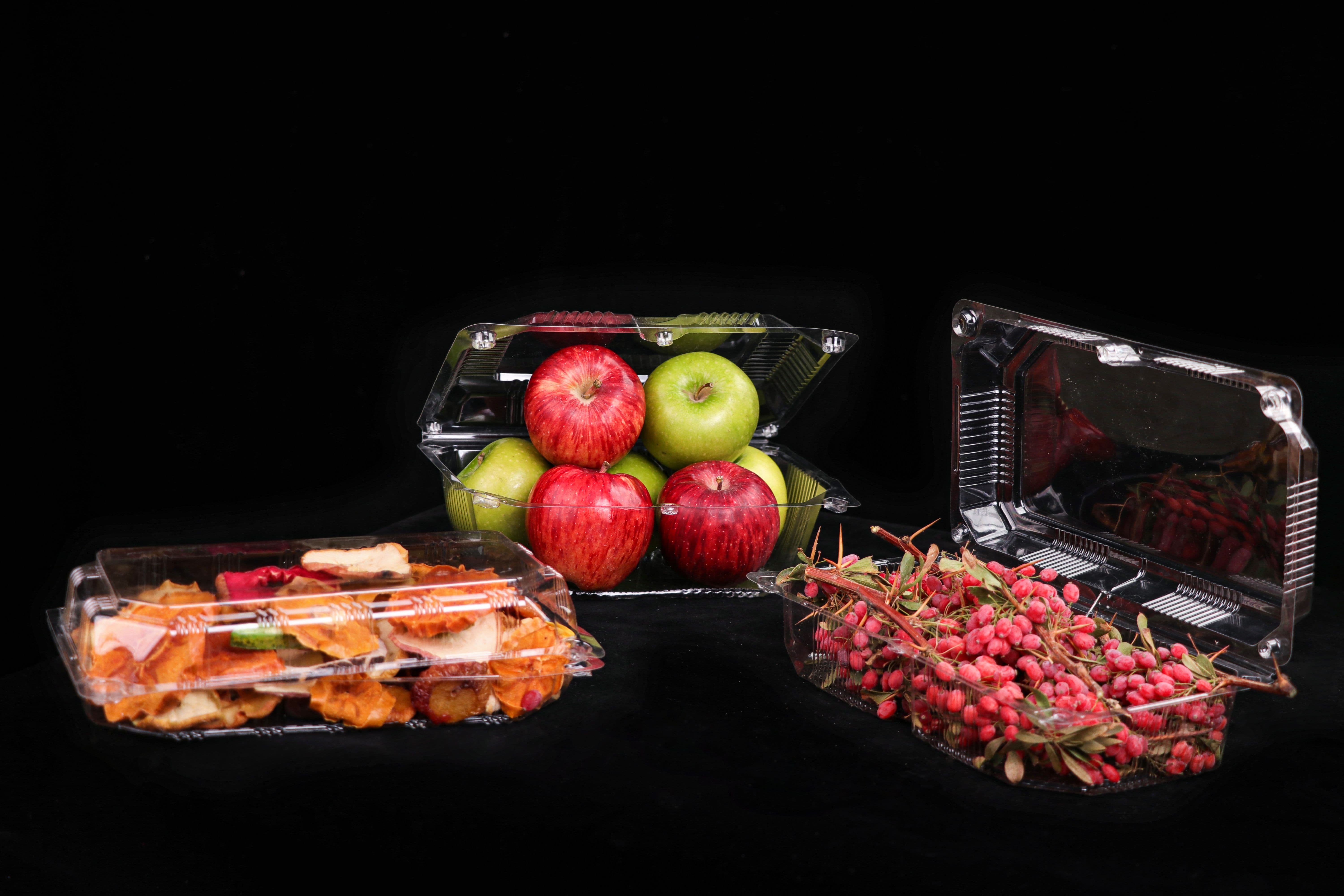 Disposable short and tall lunch boxes